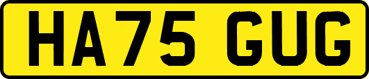 HA75GUG