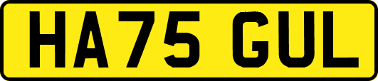 HA75GUL