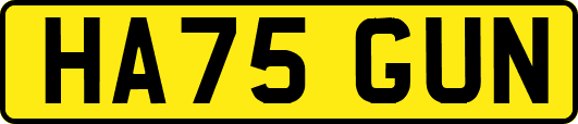 HA75GUN