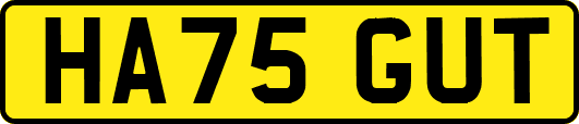 HA75GUT