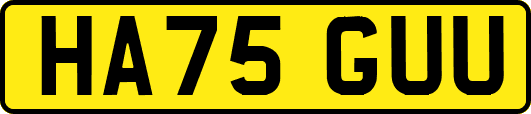 HA75GUU