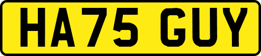 HA75GUY