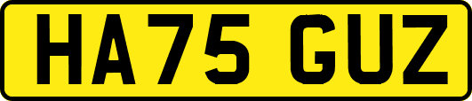 HA75GUZ