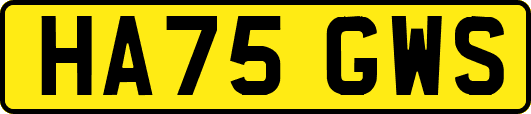 HA75GWS