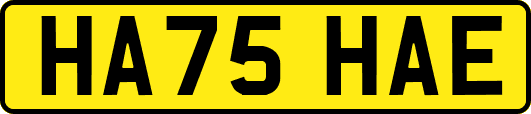 HA75HAE