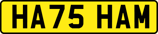 HA75HAM