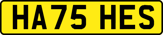 HA75HES