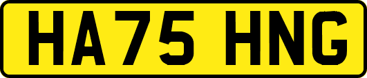 HA75HNG