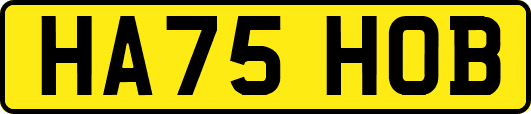 HA75HOB