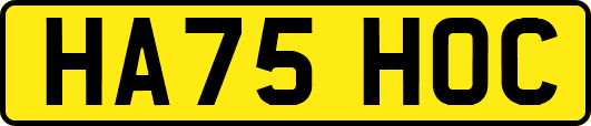 HA75HOC
