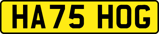 HA75HOG