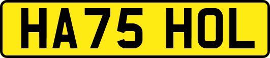 HA75HOL