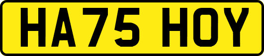 HA75HOY