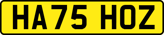 HA75HOZ