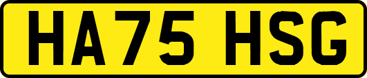 HA75HSG