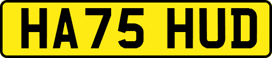 HA75HUD