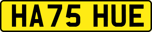 HA75HUE