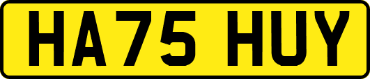 HA75HUY