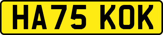 HA75KOK