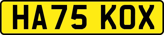 HA75KOX