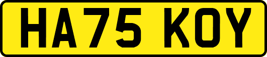 HA75KOY