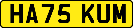 HA75KUM