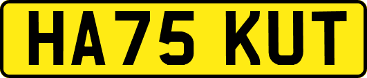 HA75KUT