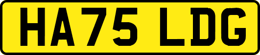 HA75LDG