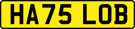 HA75LOB