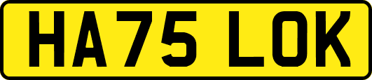 HA75LOK
