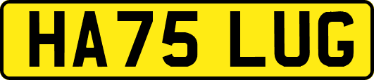 HA75LUG