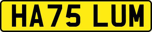 HA75LUM