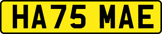 HA75MAE
