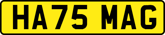 HA75MAG