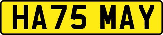 HA75MAY