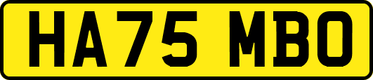 HA75MBO