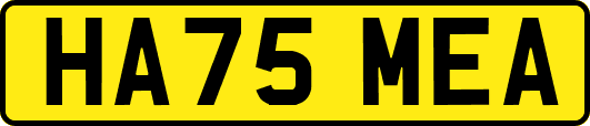 HA75MEA