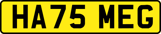 HA75MEG