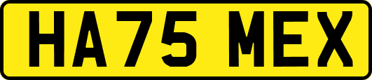 HA75MEX