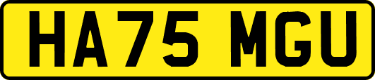 HA75MGU