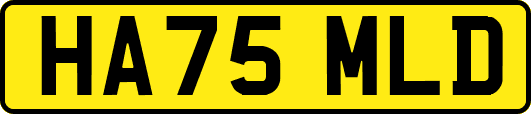 HA75MLD