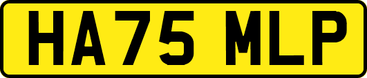 HA75MLP