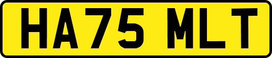 HA75MLT