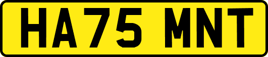 HA75MNT