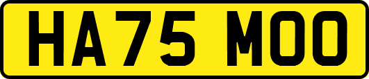HA75MOO