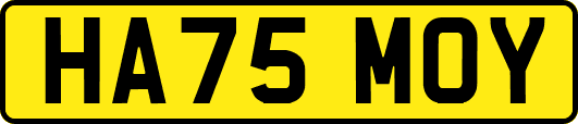 HA75MOY