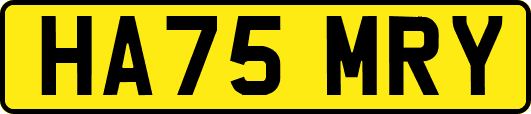 HA75MRY