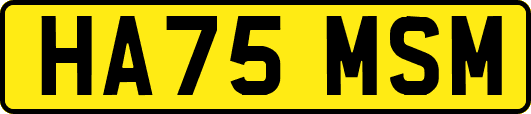 HA75MSM