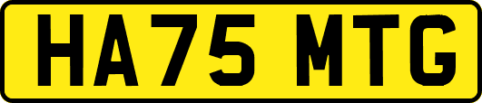 HA75MTG