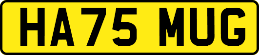 HA75MUG